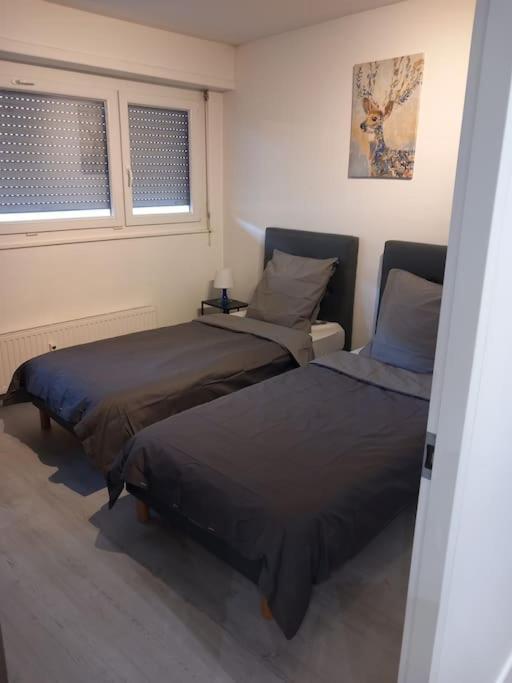 Super Appart Strasbourg 6 Pers Centre-Ville Ideal Eksteriør bilde